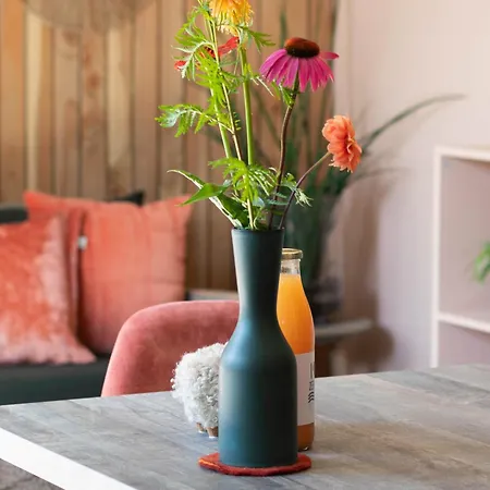 Zeehout Aan Zee Biggekerke