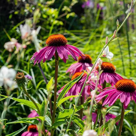 Zeehout Aan Zee Hoevelaken