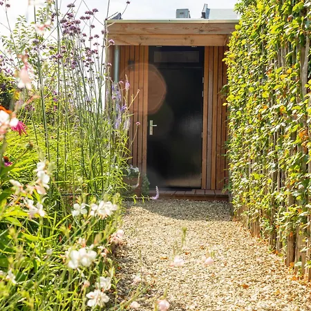 Zeehout Aan Zee Biggekerke