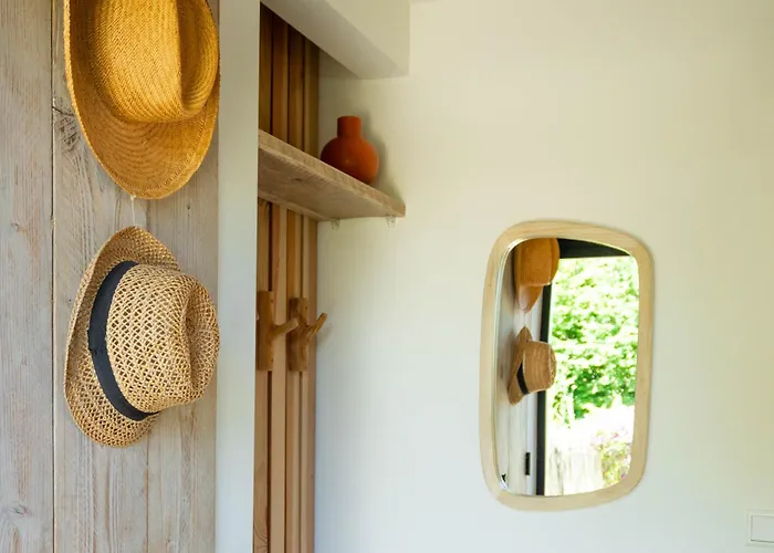 Zeehout Aan Zee Dağ evi Biggekerke