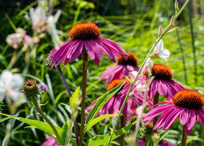 Zeehout Aan Zee Biggekerke