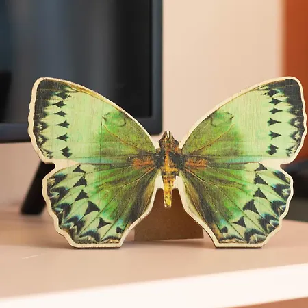 Zeehout Aan Zee בקתה Biggekerke