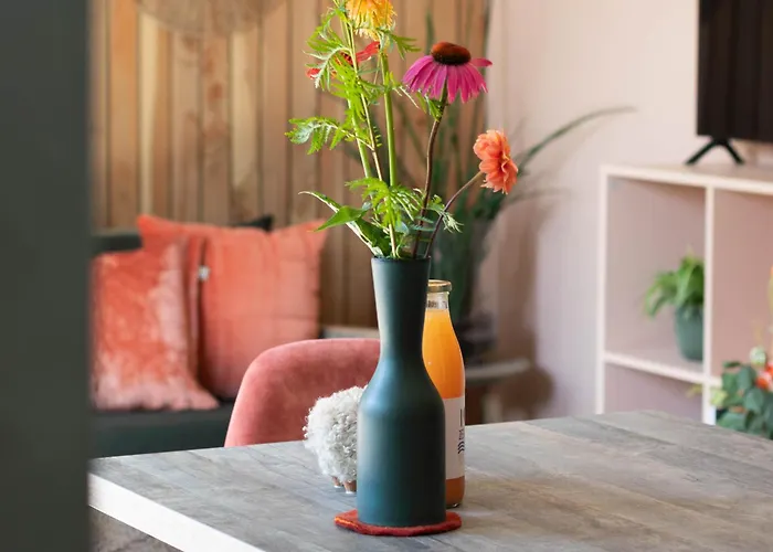 Zeehout Aan Zee Biggekerke